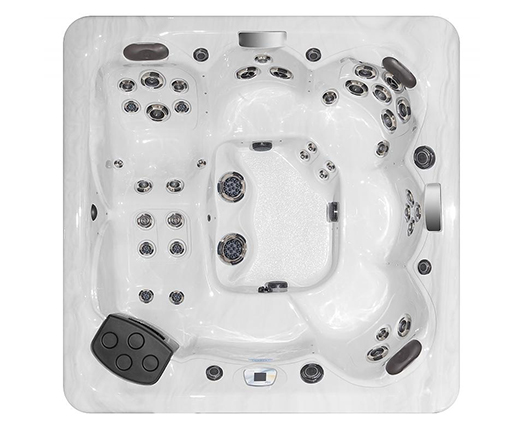 Спа бассейн Master Spas Twilight Series TS 8.2 (рис.2)